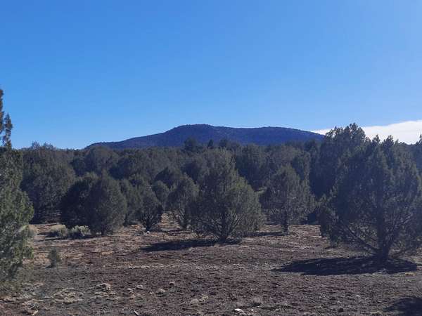 36.7 Acres of Recreational Land & Farm for Sale in Seligman, Arizona