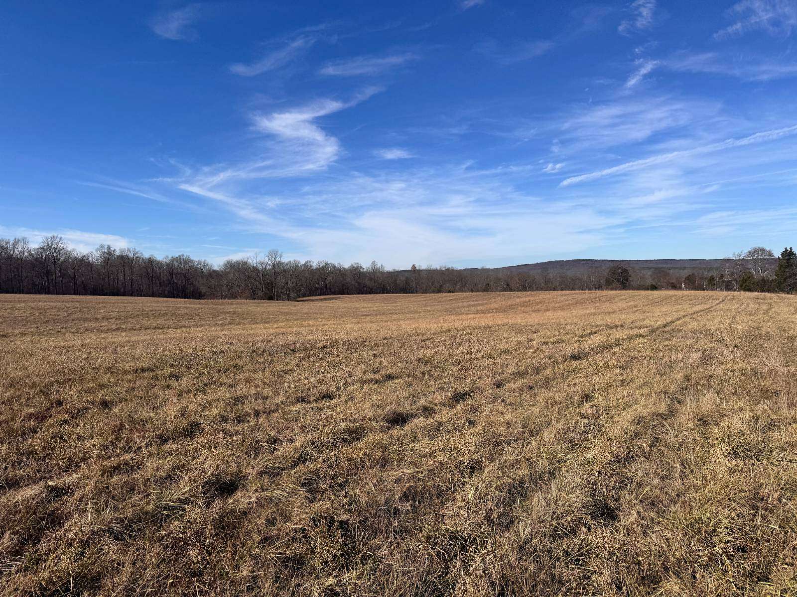 6 Acres of Agricultural Land for Sale in Golconda, Illinois
