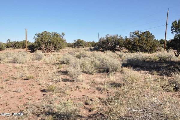 20 Acres of Land for Sale in Snowflake, Arizona