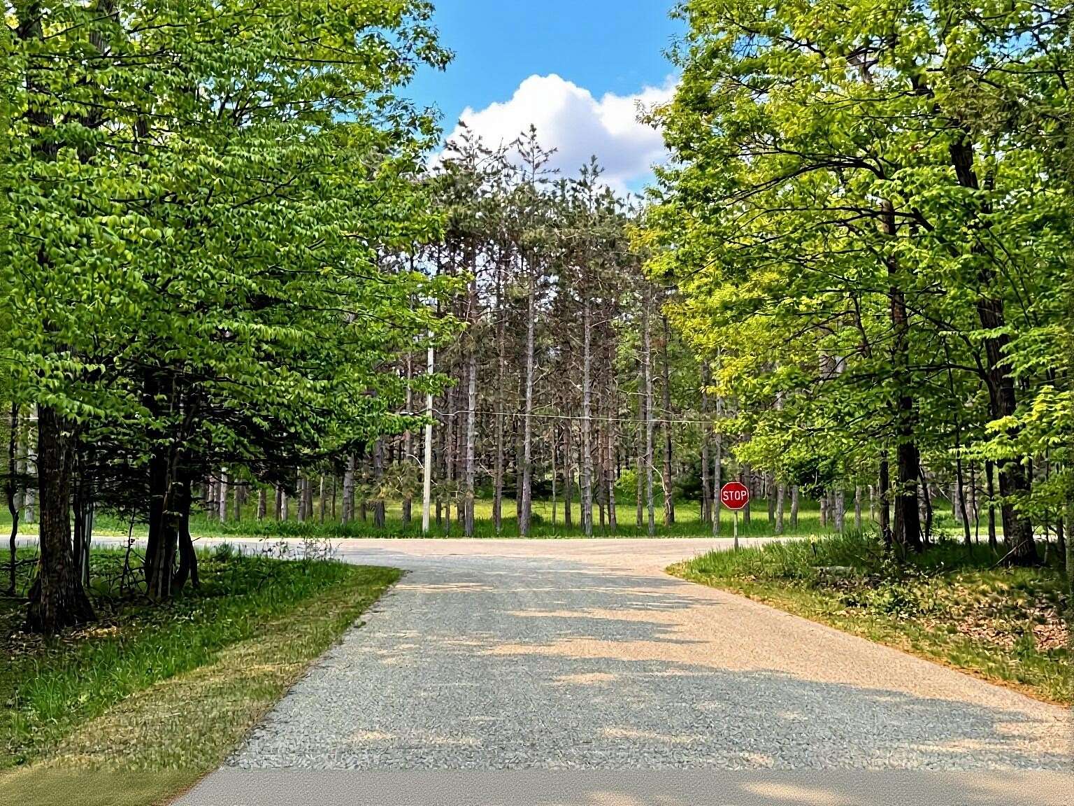 1.34 Acres of Residential Land for Sale in Harbor Springs, Michigan