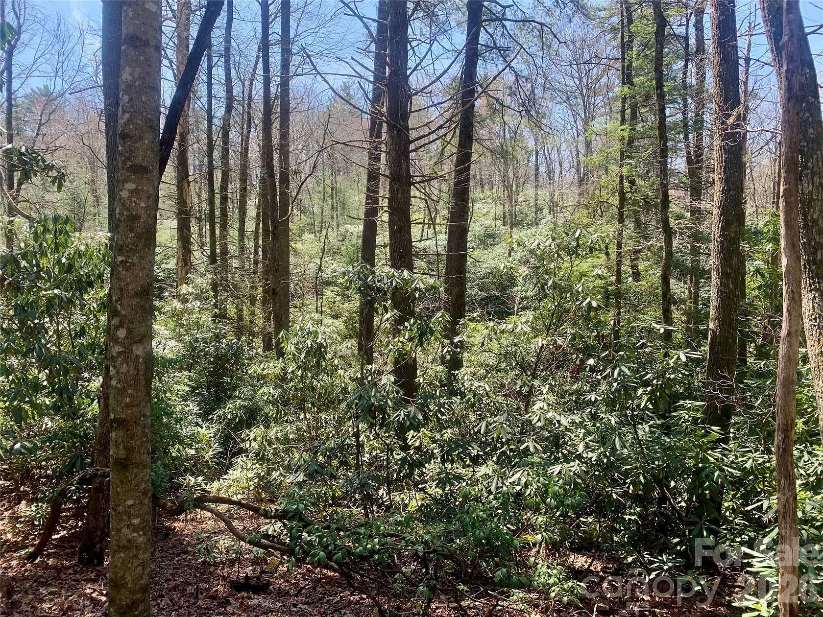 1.34 Acres of Land for Sale in Lake Toxaway, North Carolina