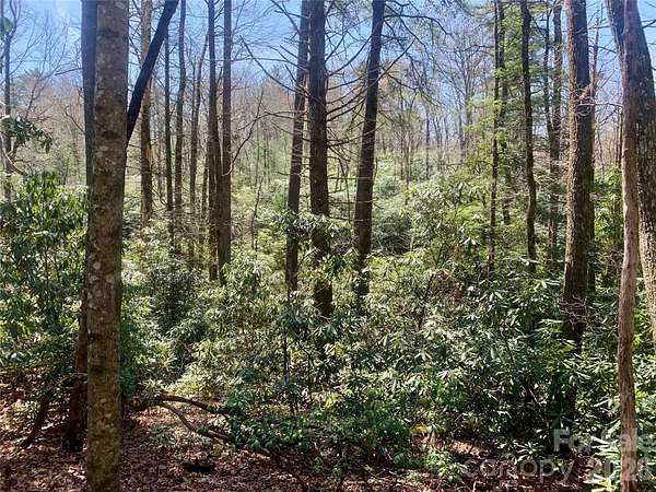 1.34 Acres of Land for Sale in Lake Toxaway, North Carolina