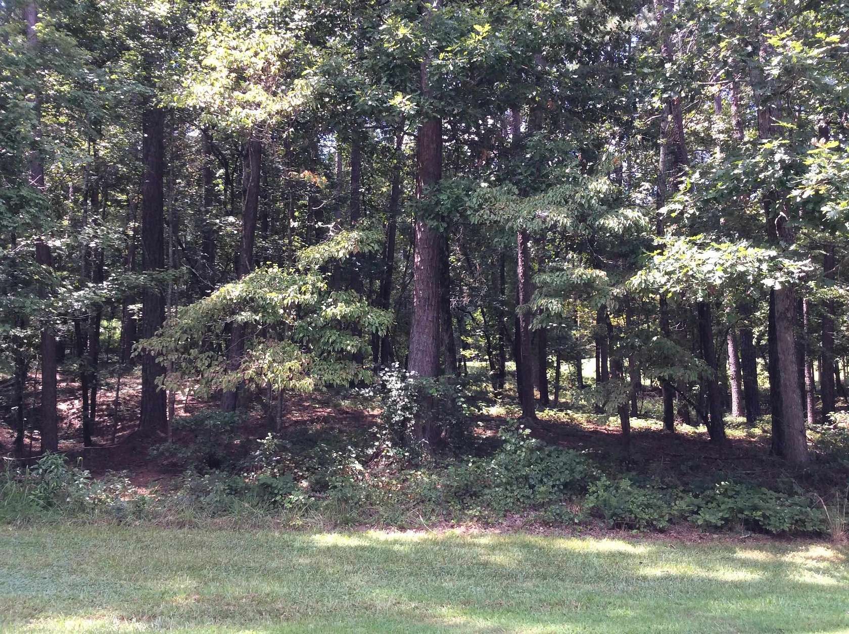 0.97 Acres of Residential Land for Sale in Greensboro, Georgia