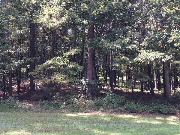 0.97 Acres of Residential Land for Sale in Greensboro, Georgia