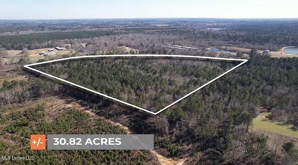 30.8 Acres of Land for Sale in Mendenhall, Mississippi