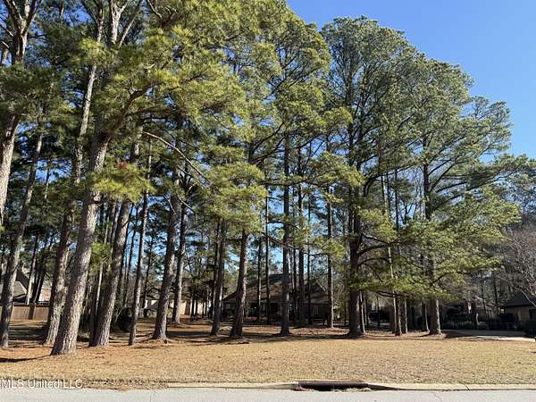 0.3 Acres of Residential Land for Sale in Brandon, Mississippi