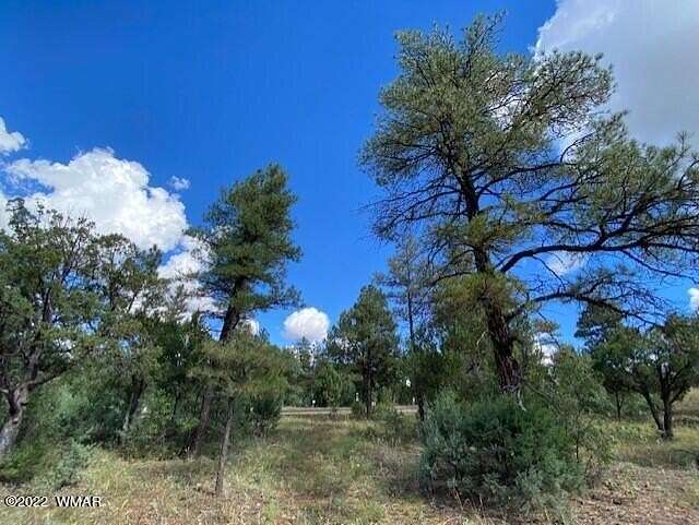 0.61 Acres of Residential Land for Sale in Show Low, Arizona