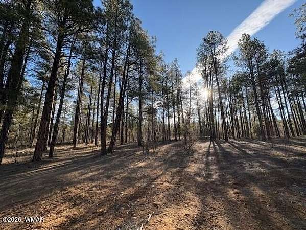 0.73 Acres of Residential Land for Sale in Show Low, Arizona