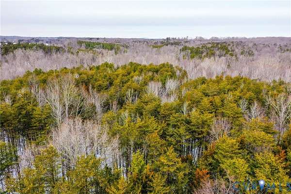 74.4 Acres of Recreational Land for Sale in Farmville, Virginia