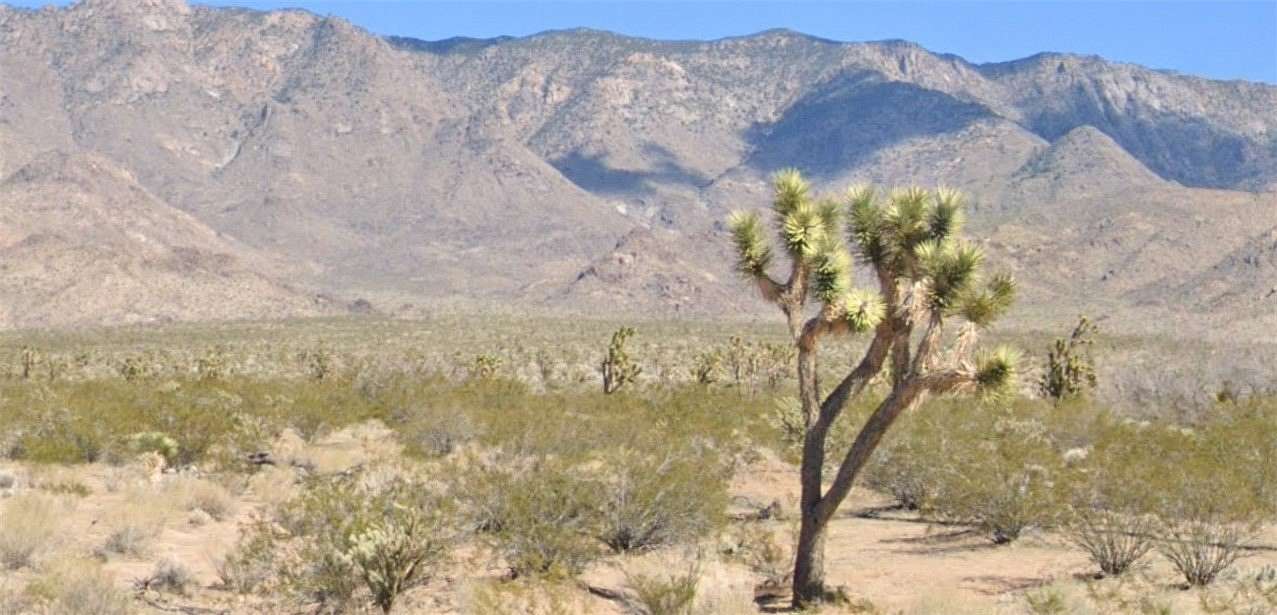 5 Acres of Land for Sale in Meadview, Arizona