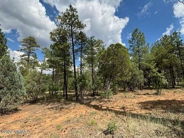 0.54 Acres of Residential Land for Sale in Show Low, Arizona