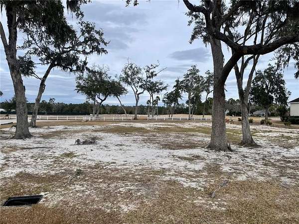 0.46 Acres of Residential Land for Sale in Brunswick, Georgia