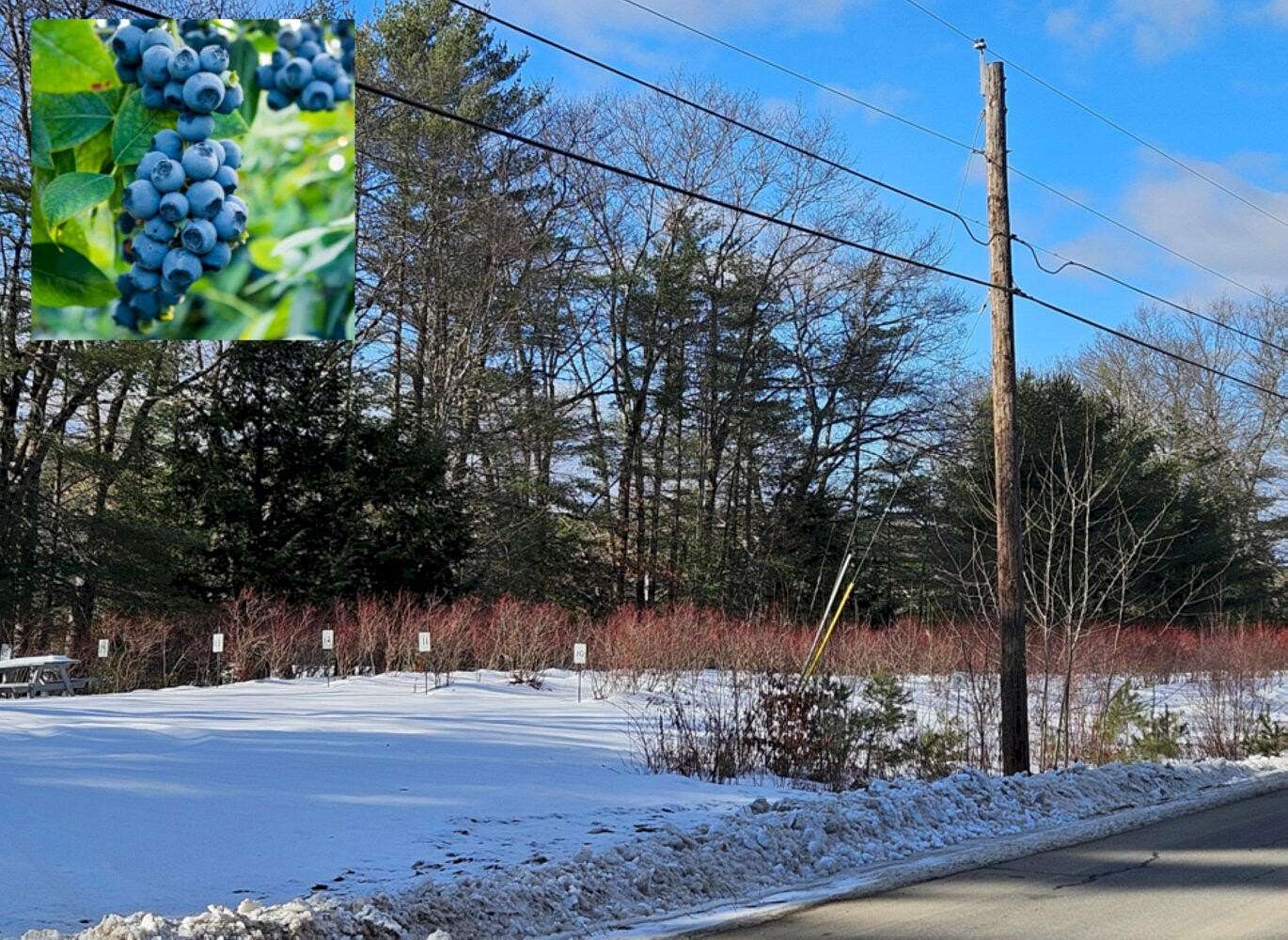 4.5 Acres of Residential Land for Sale in Skowhegan, Maine