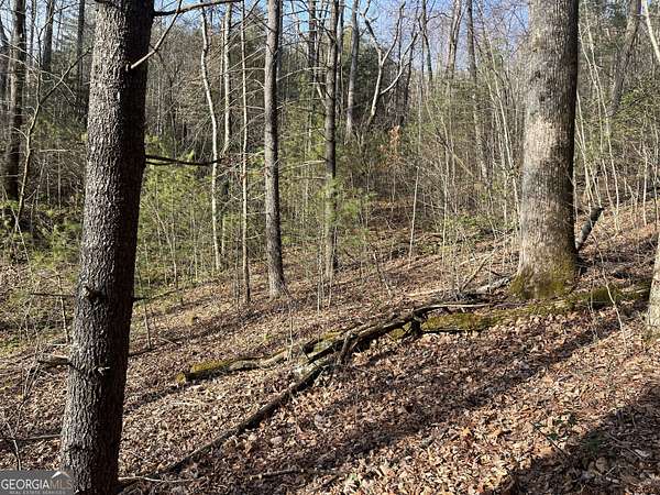 3.83 Acres of Residential Land for Sale in Dillard, Georgia