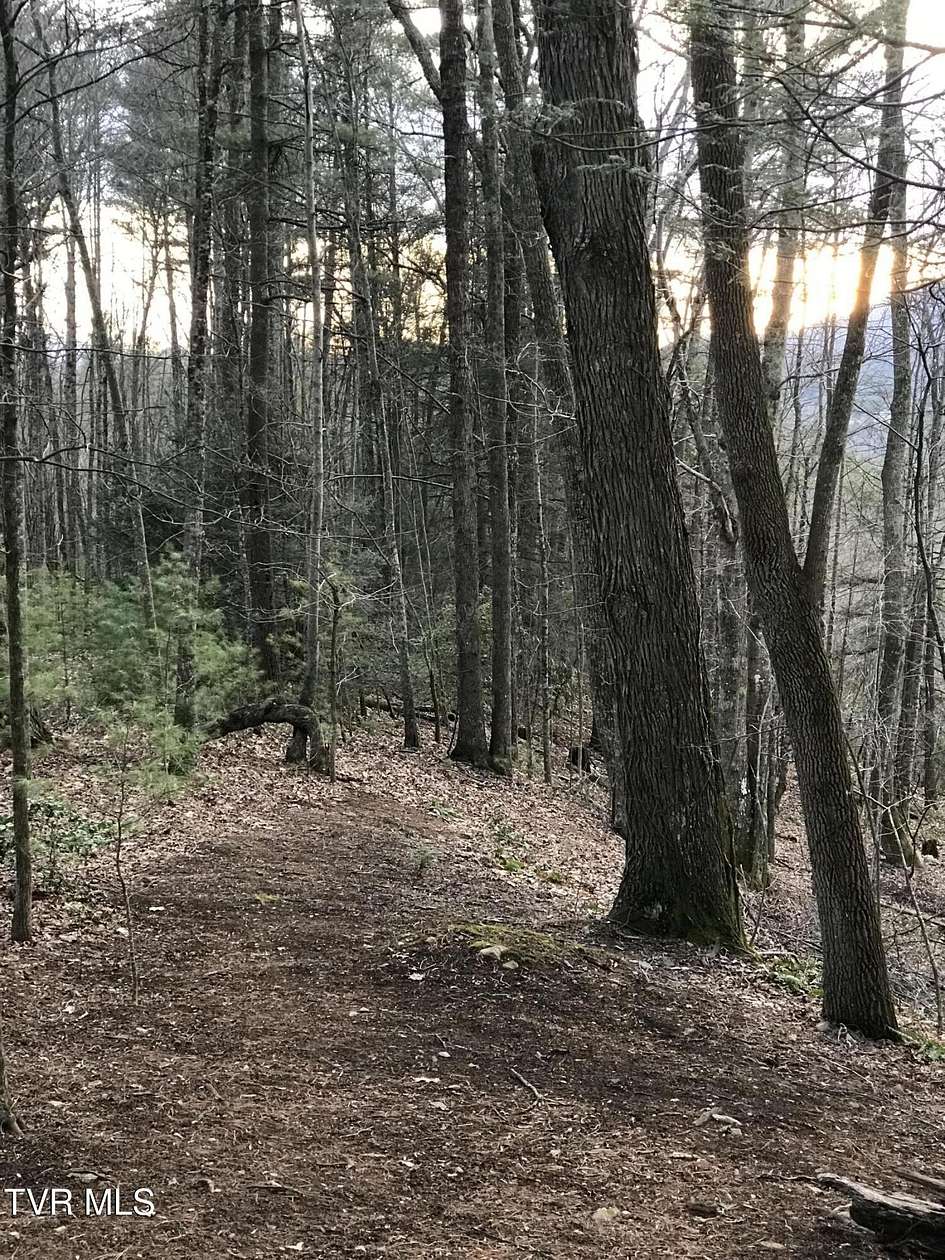 4 Acres of Residential Land for Sale in Mountain City, Tennessee