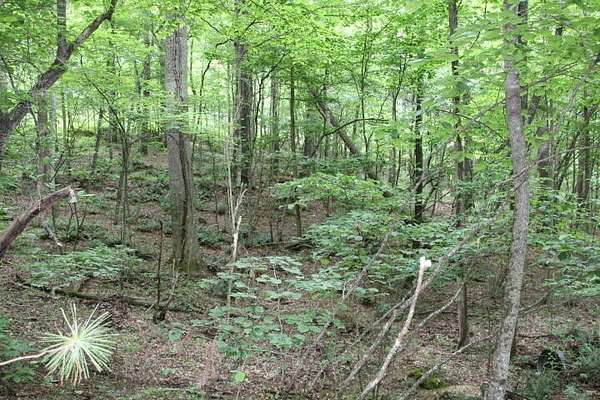4 Acres of Residential Land for Sale in Mountain City, Tennessee