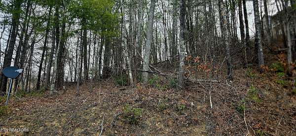 0.55 Acres of Residential Land for Sale in Sevierville, Tennessee