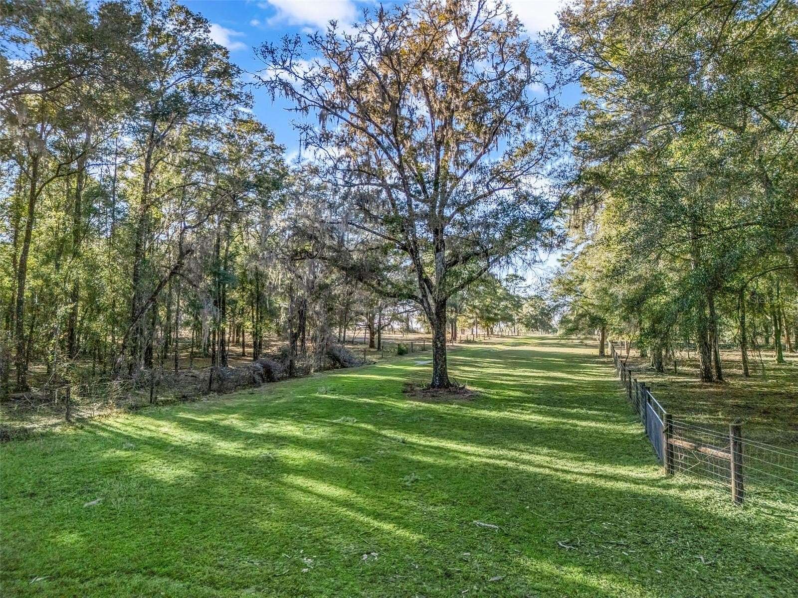 100 Acres of Land for Sale in Williston, Florida