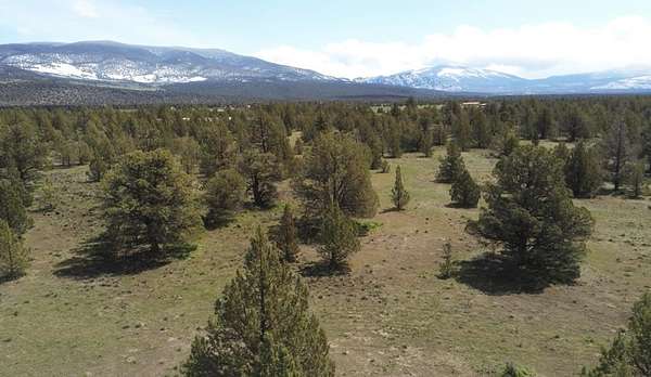 20 Acres of Recreational & Residential Land for Sale in Montague, California