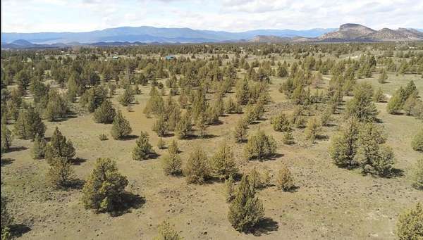 20 Acres of Recreational & Residential Land for Sale in Montague, California