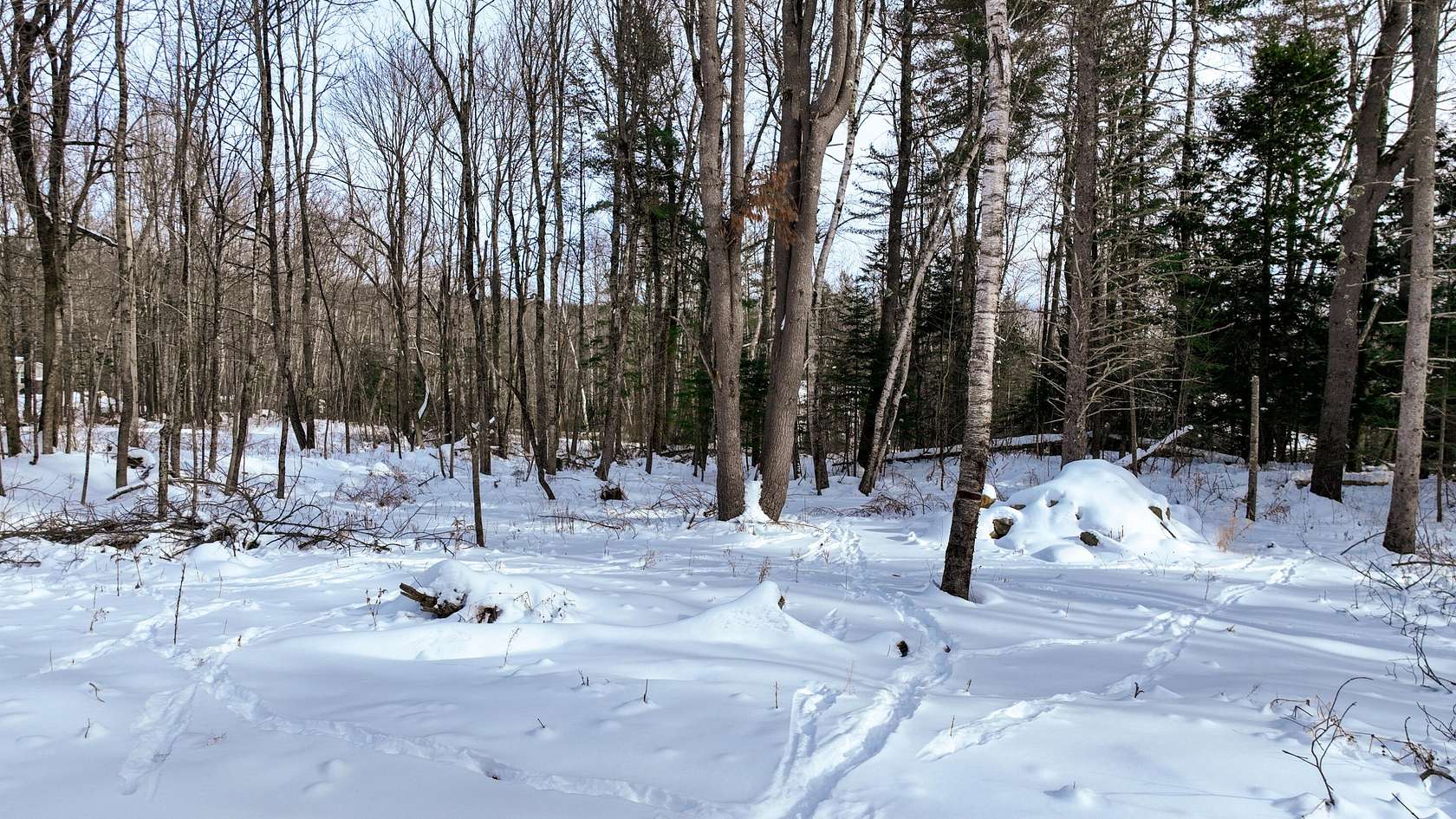 5 Acres of Land for Sale in Brooks, Maine