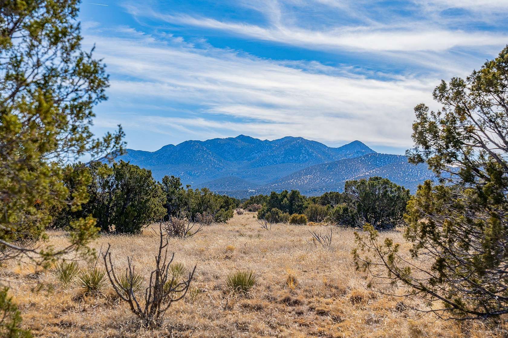 20 Acres of Recreational Land for Sale in Cerrillos, New Mexico