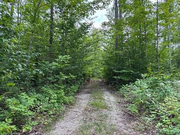 41.3 Acres of Recreational Land for Sale in Presque Isle, Michigan