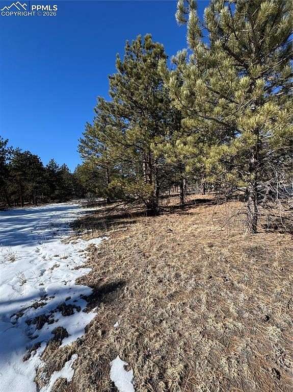 10.3 Acres of Recreational Land for Sale in Lake George, Colorado