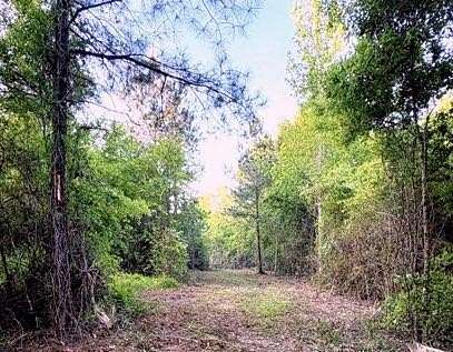 35 Acres of Land for Sale in Poplarville, Mississippi