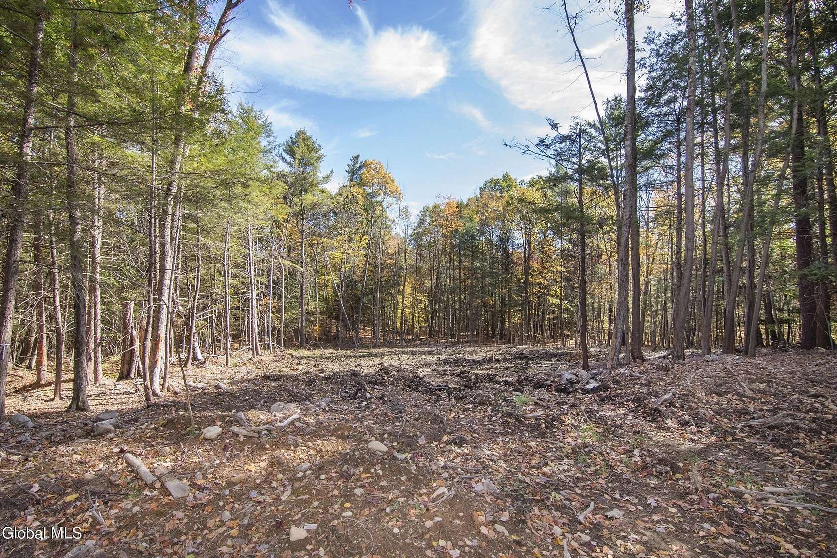 3 Acres of Residential Land for Sale in Greenfield Center, New York