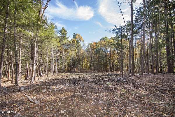 3 Acres of Residential Land for Sale in Greenfield Center, New York