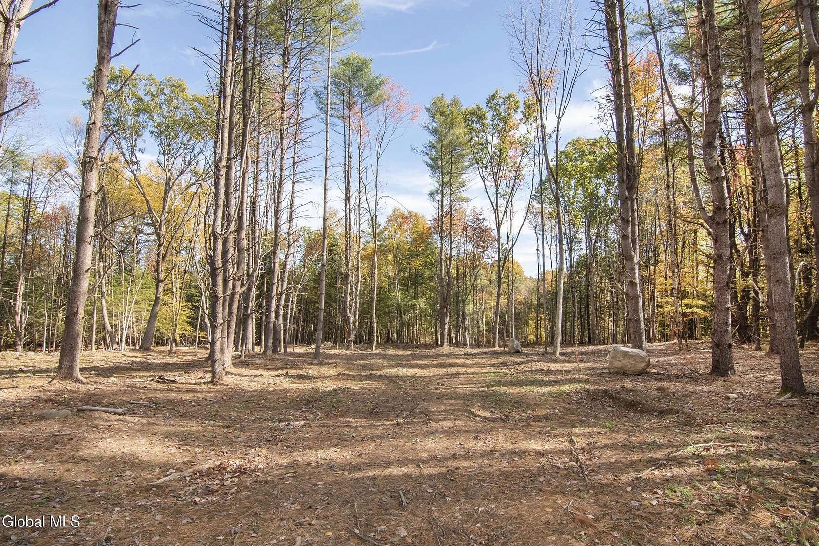 8.84 Acres of Residential Land for Sale in Greenfield Center, New York