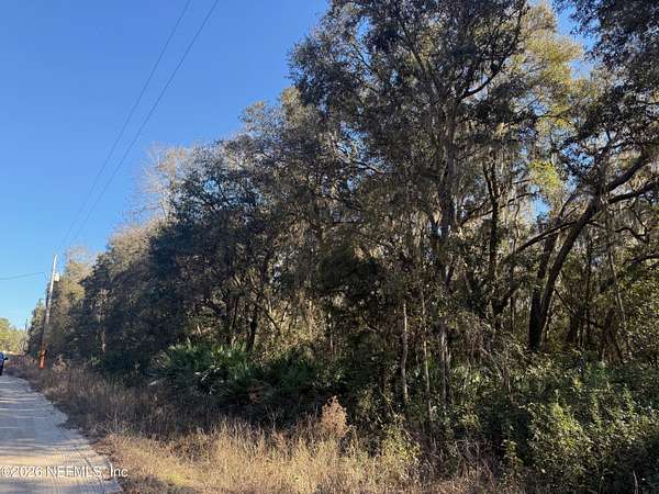 1.24 Acres of Residential Land for Sale in Florahome, Florida