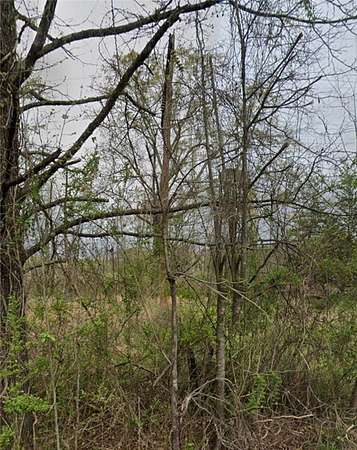 0.36 Acres of Land for Sale in Camden, Arkansas