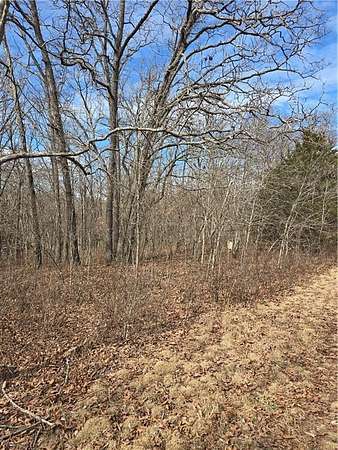 32.3 Acres of Recreational & Residential Land for Sale in Edwards, Missouri