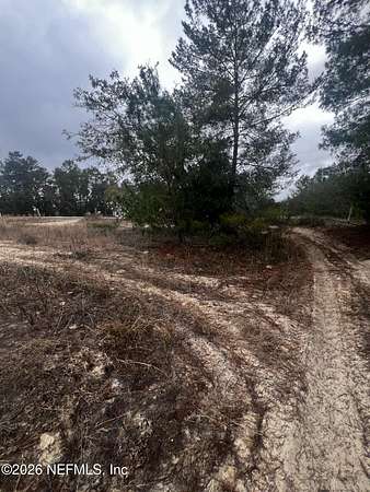 0.24 Acres of Land for Sale in Satsuma, Florida
