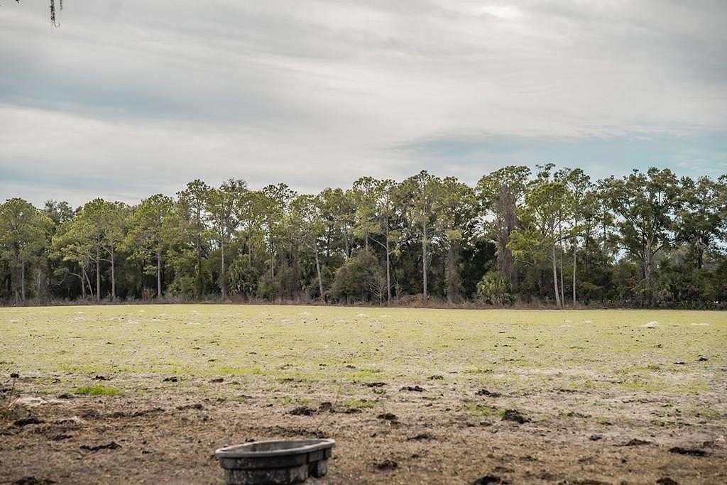 10 Acres of Land for Sale in Chiefland, Florida