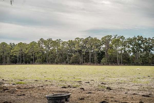 10 Acres of Land for Sale in Chiefland, Florida
