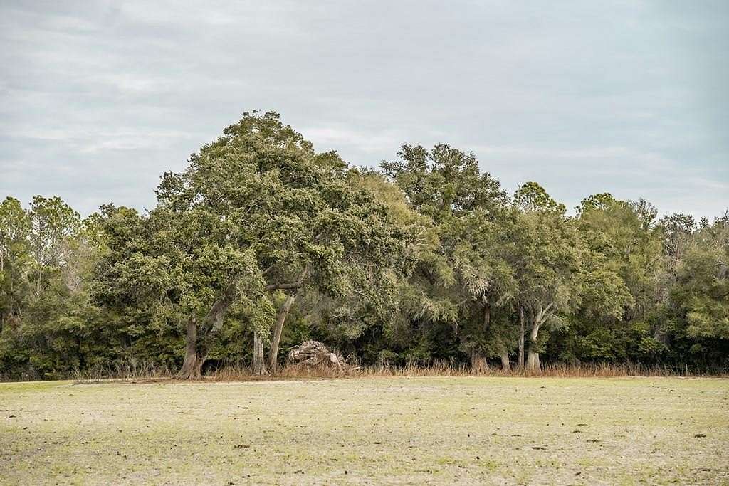 10 Acres of Land for Sale in Chiefland, Florida