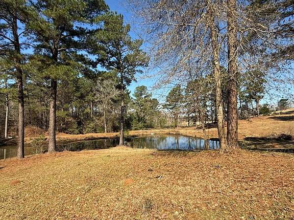 30.6 Acres of Land for Sale in San Augustine, Texas