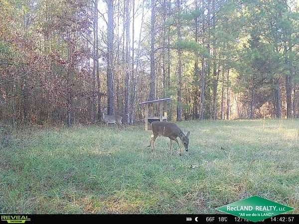 94.7 Acres of Land with Home for Sale in Beekman, Louisiana