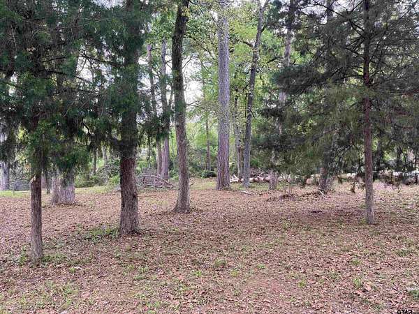 0.5 Acres of Residential Land for Sale in Bullard, Texas