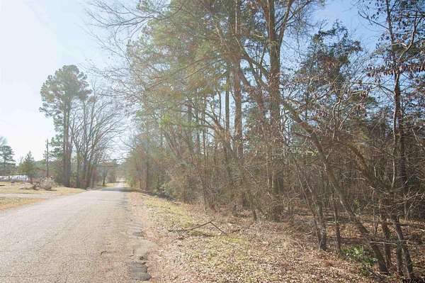 1.6 Acres of Residential Land for Sale in Ben Wheeler, Texas