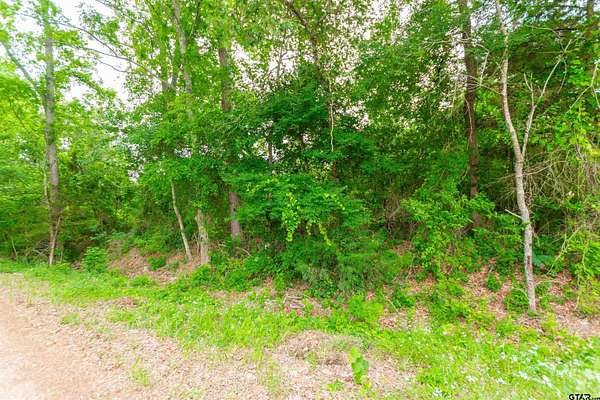 1.6 Acres of Residential Land for Sale in Ben Wheeler, Texas