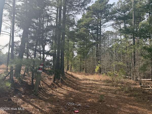 43.8 Acres of Recreational Land for Sale in Cameron, North Carolina