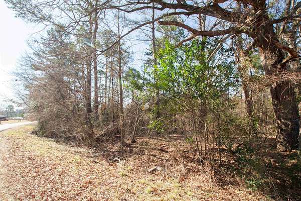 1 Acre of Residential Land for Sale in Ben Wheeler, Texas