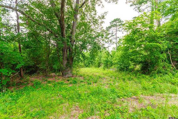 1 Acre of Residential Land for Sale in Ben Wheeler, Texas