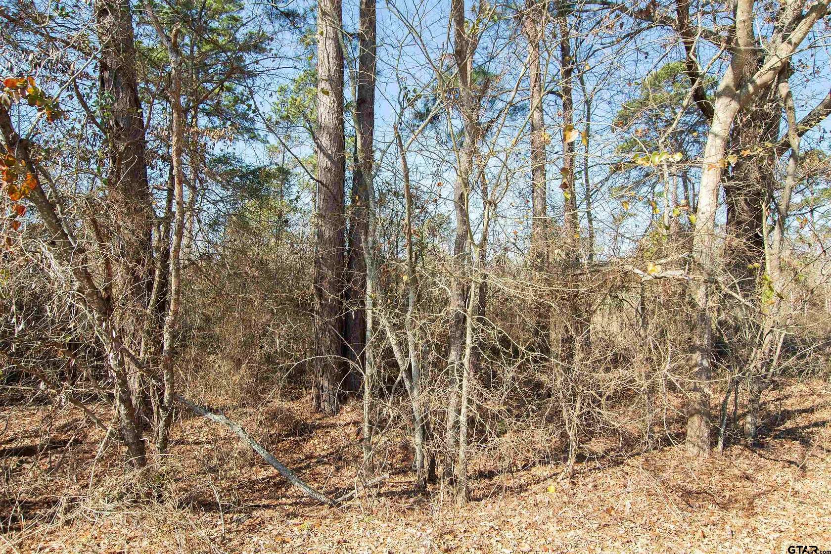 2.4 Acres of Residential Land for Sale in Ben Wheeler, Texas