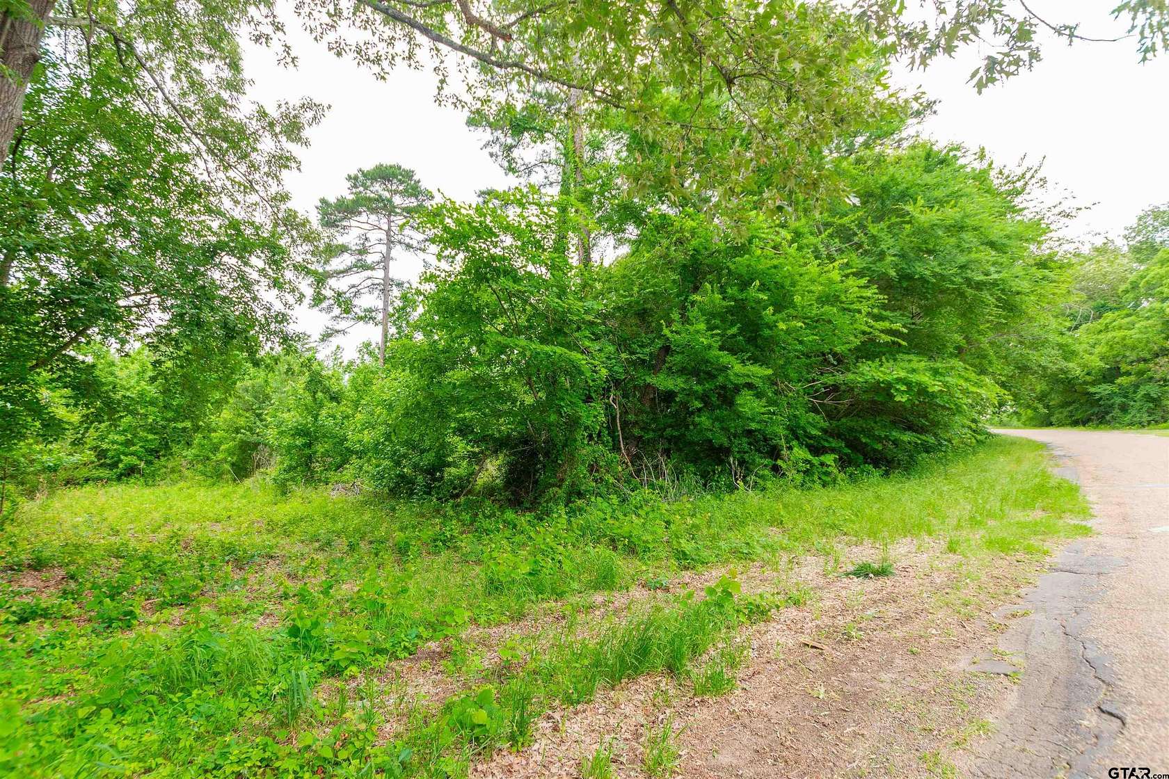 2.4 Acres of Residential Land for Sale in Ben Wheeler, Texas