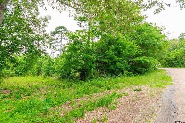 2.4 Acres of Residential Land for Sale in Ben Wheeler, Texas